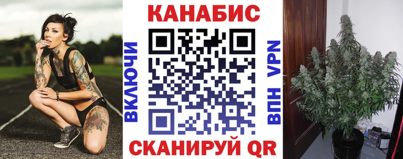 наркошоп  Белозерск  Шишки марихуана марихуана 